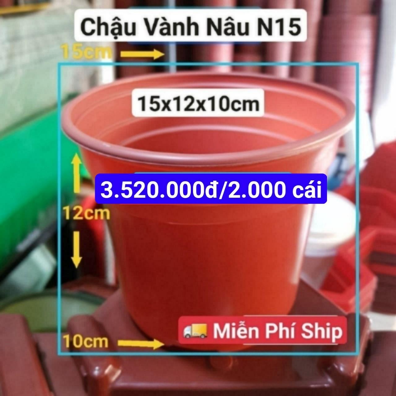 2000 Chậu Vành Nâu N15