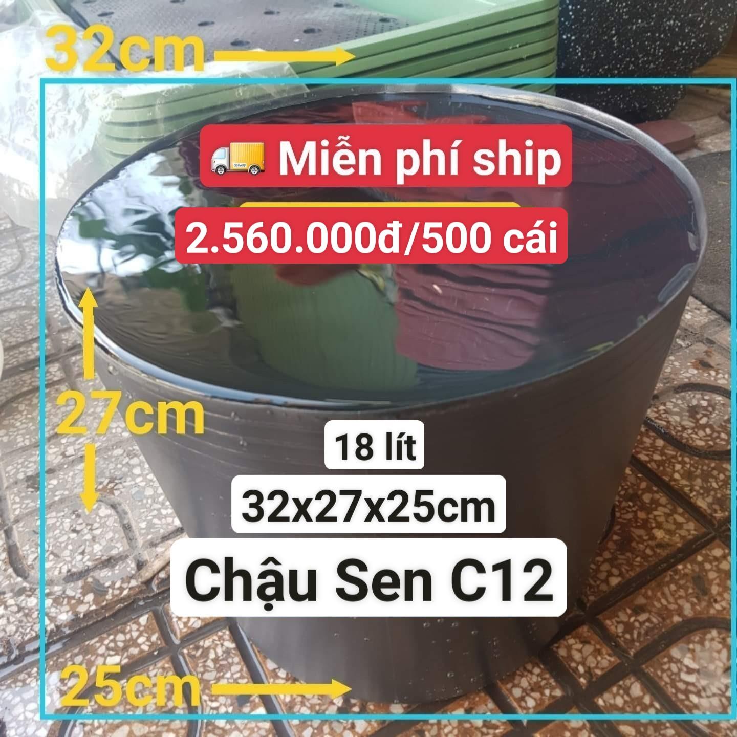500 Chậu Nhựa Trồng Sen C12