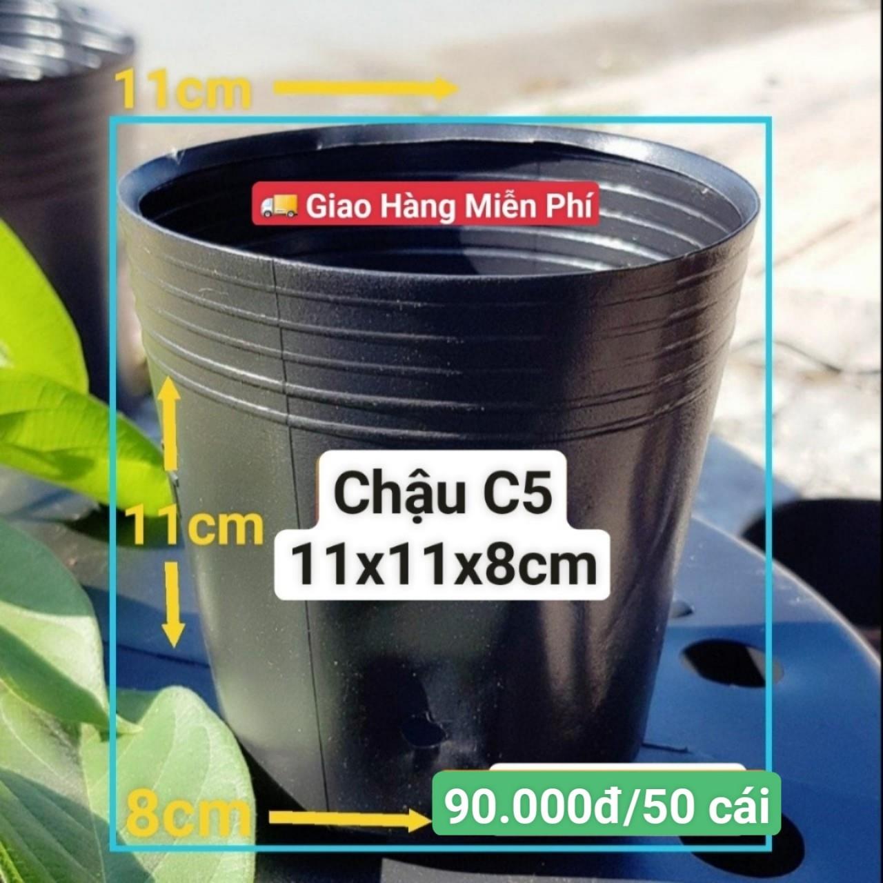 50 Chậu Mềm Đen C5