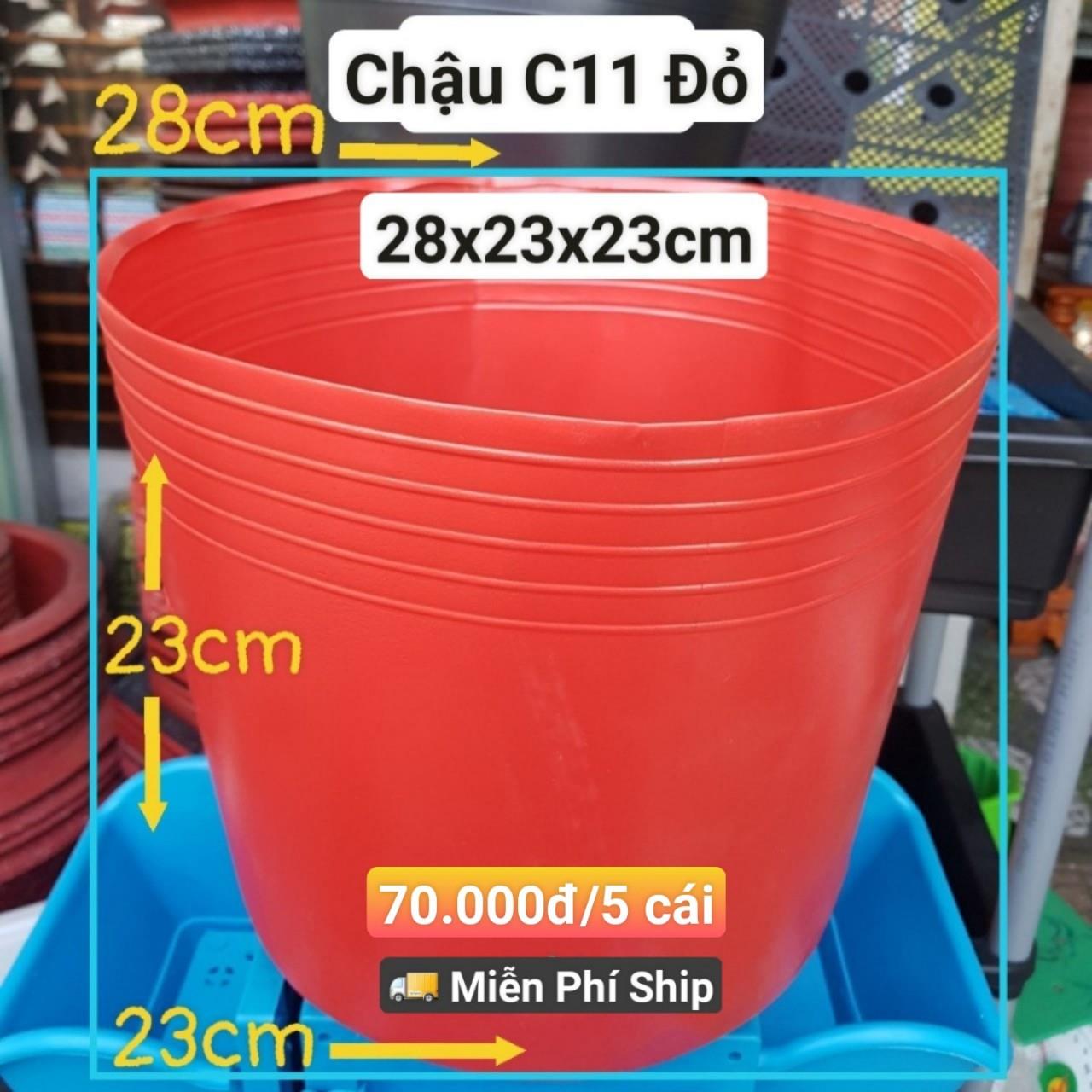 5 Chậu Mềm Đỏ C11