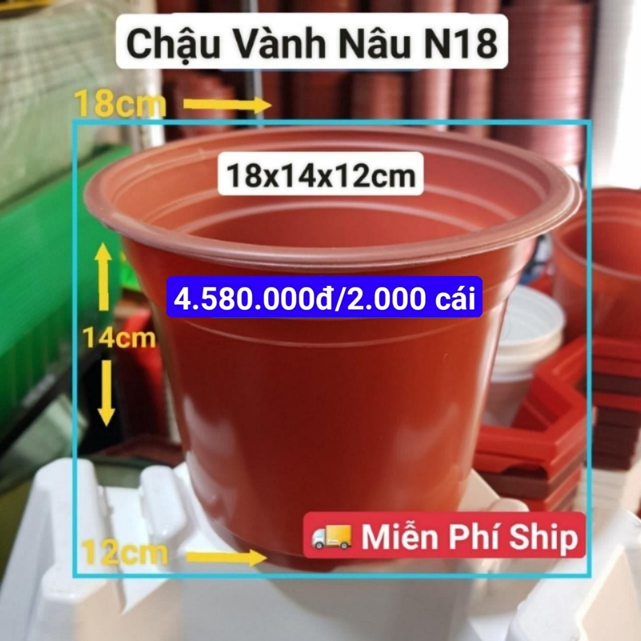 2000 Chậu Vành Nâu N18