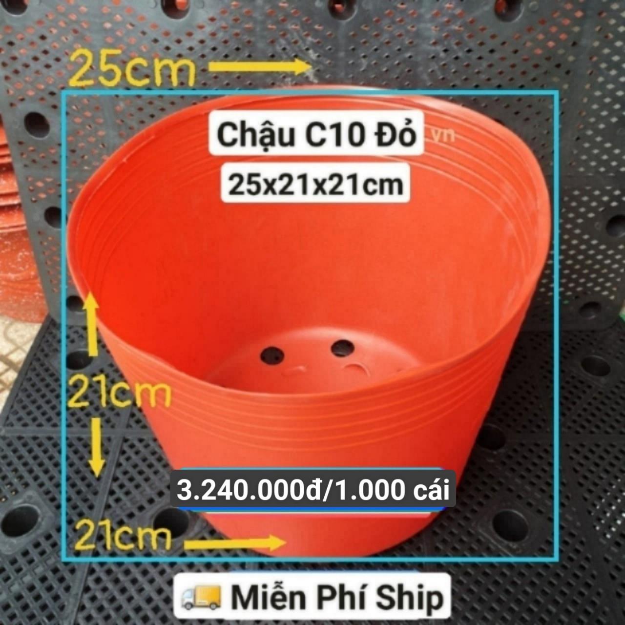 1000 Chậu Mềm Đỏ C10