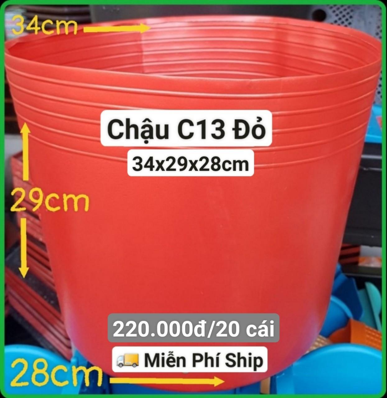 20 Chậu Mềm Đỏ C13