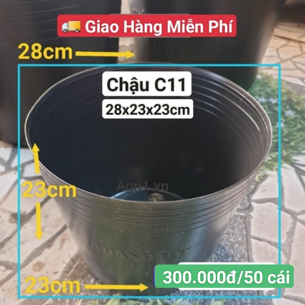 50 Chậu Mềm Đen C11