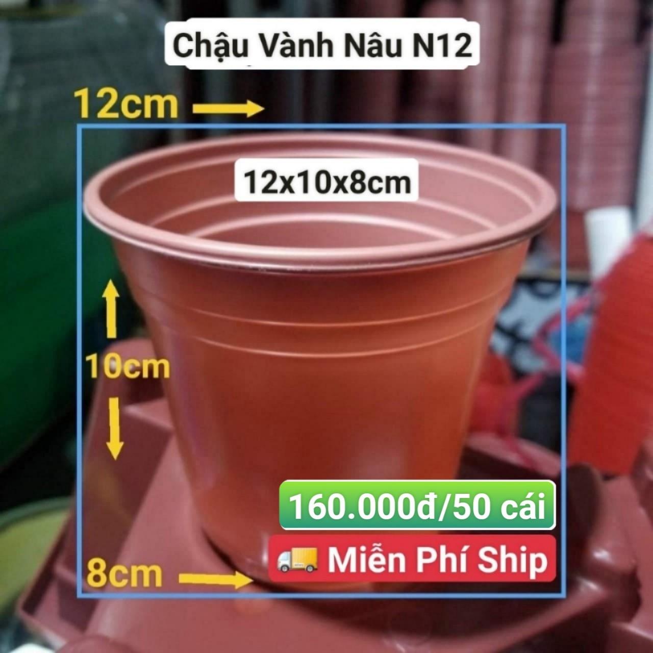 50 Chậu Vành Nâu N12