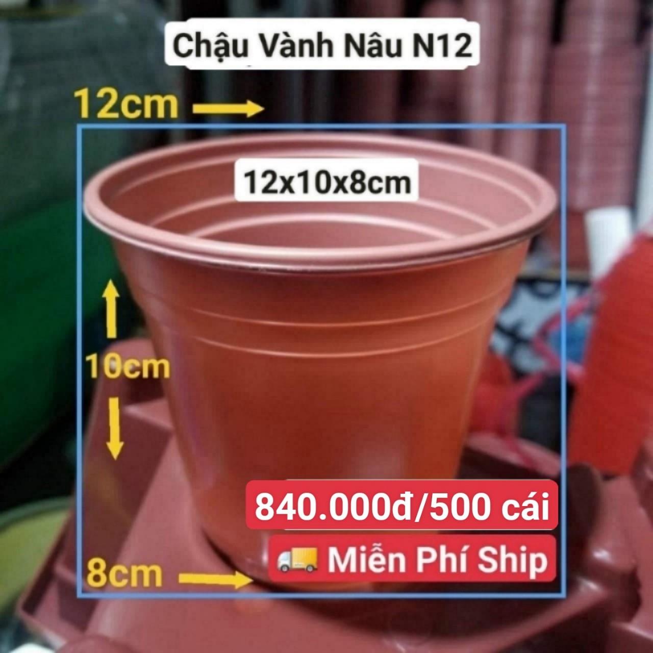 500 Chậu Vành Nâu N12