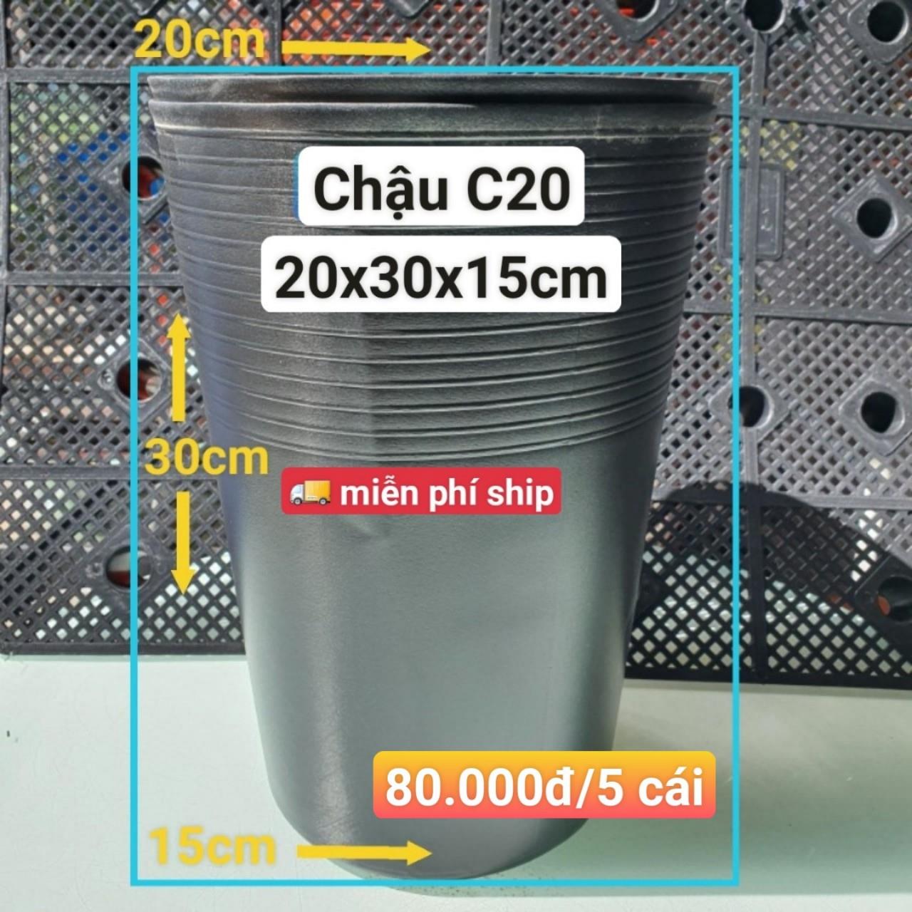 5 Chậu Ươm Cây Giống C20