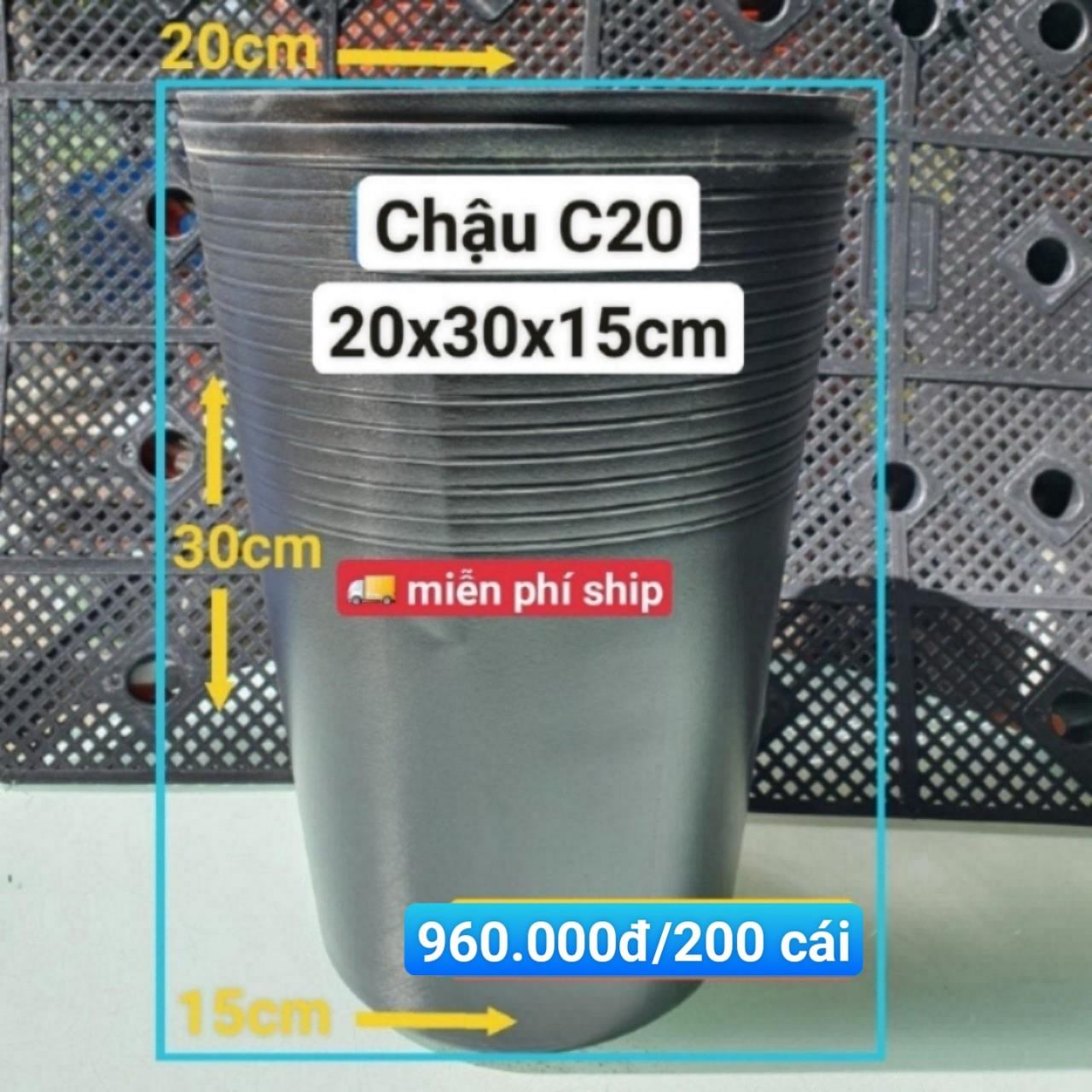200 Chậu Ươm Cây Giống C20