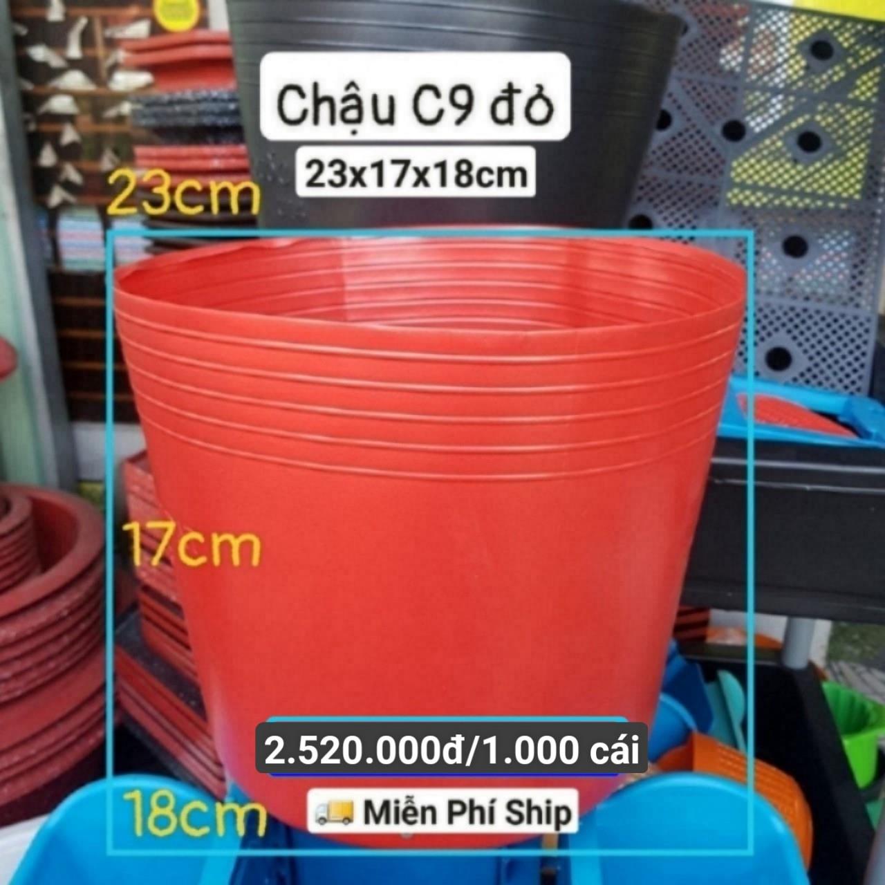100 Chậu Mềm Đỏ C9