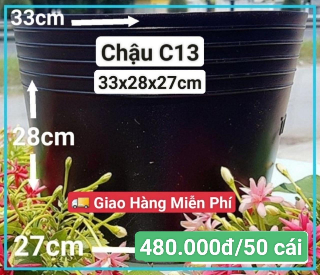 50 Chậu Mềm Đen C13