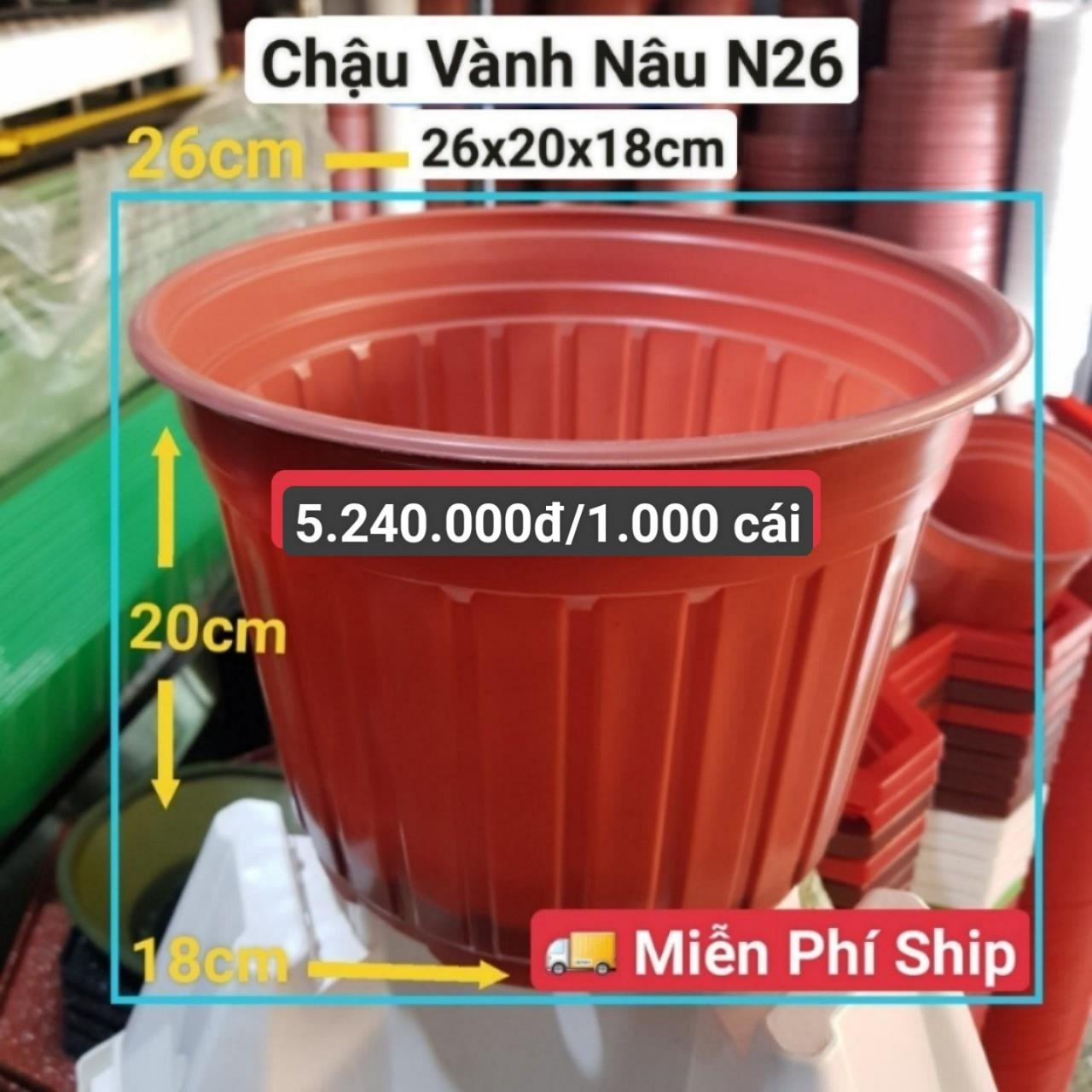 1000 Chậu Vành Nâu N26