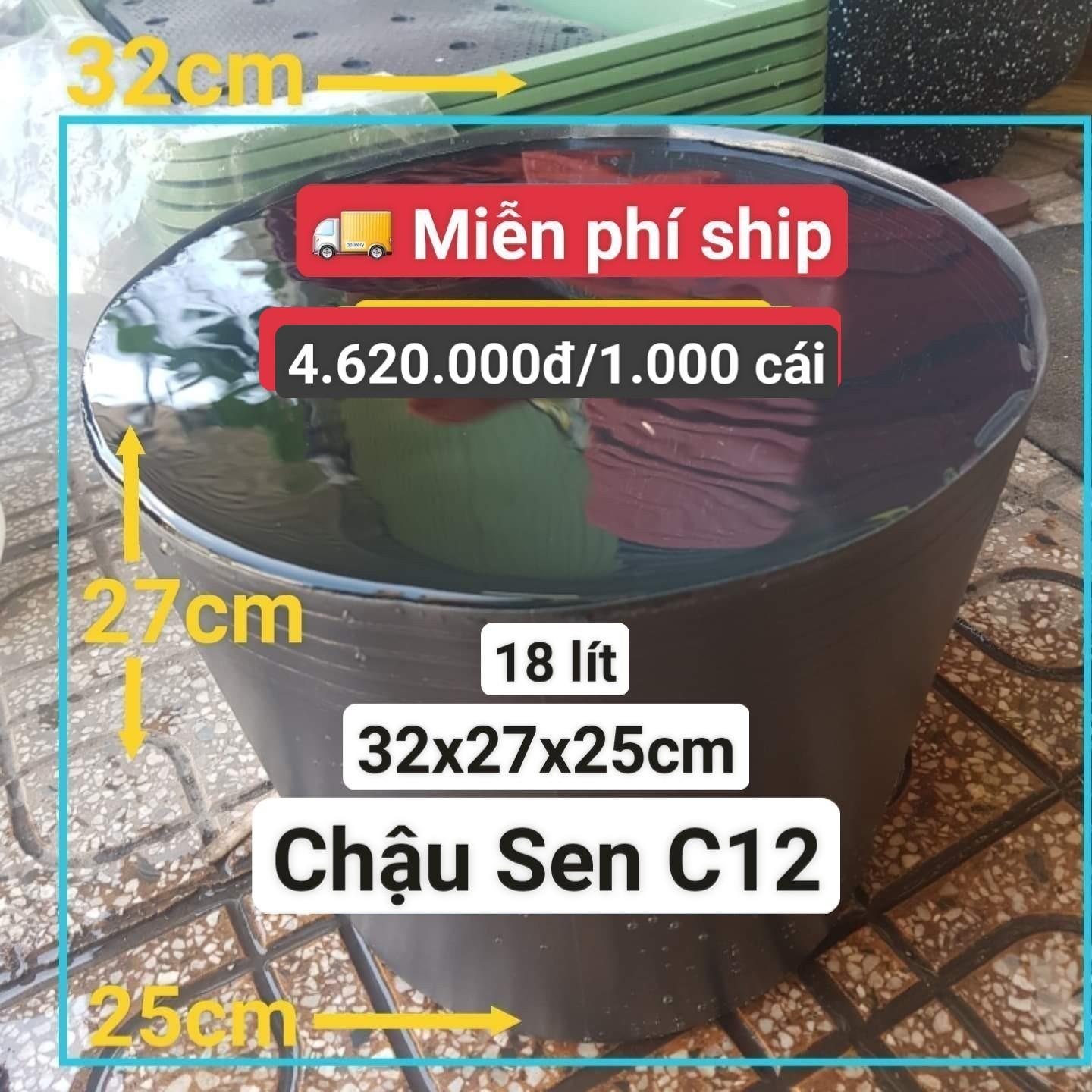 1000 Chậu Nhựa Trồng Sen C12