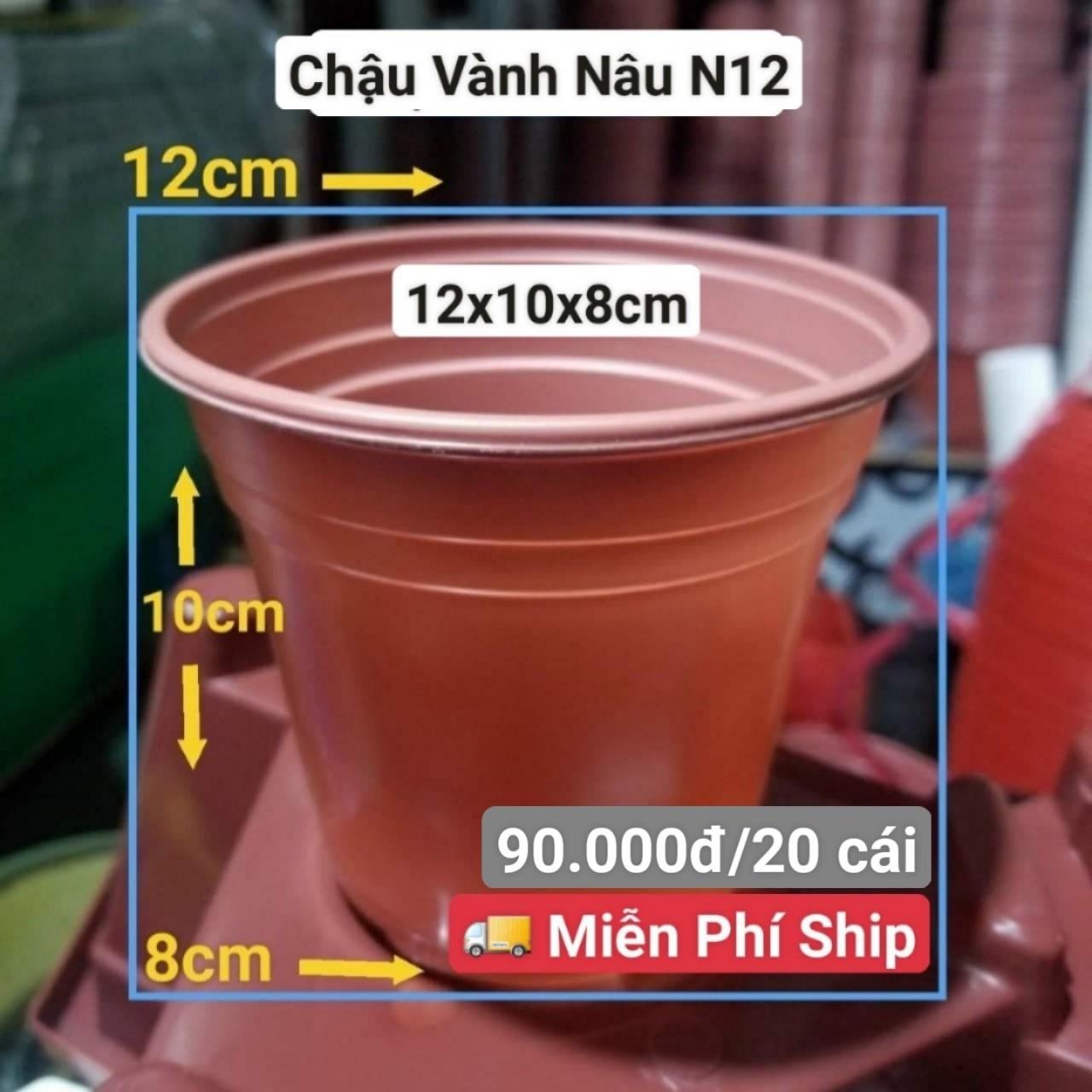 20 Chậu Vành Nâu N12