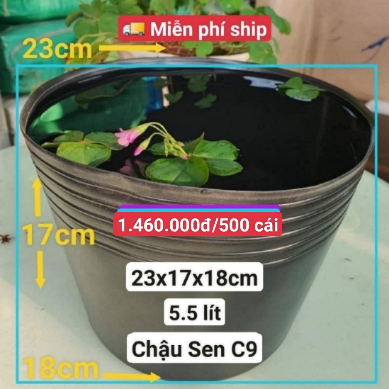 500 Chậu Nhựa Trồng Sen C9