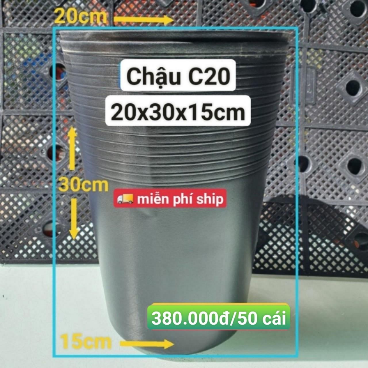 50 Chậu Ươm Cây Giống C20
