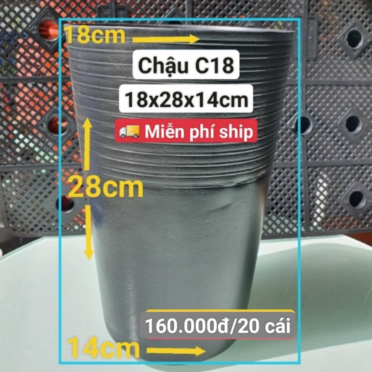 20 Chậu Ươm Cây Giống C18