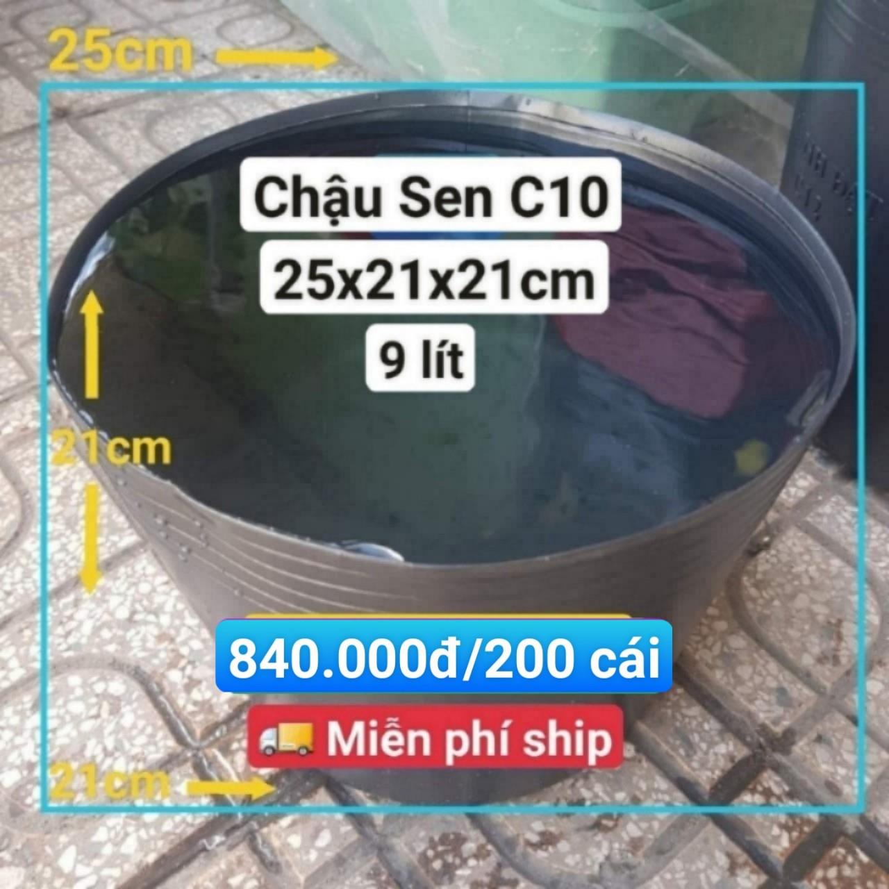 200 Chậu Nhựa Trồng Sen C10