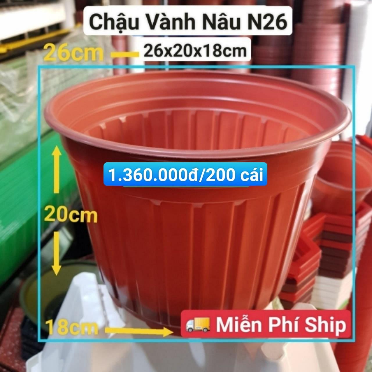 200 Chậu Vành Nâu N26
