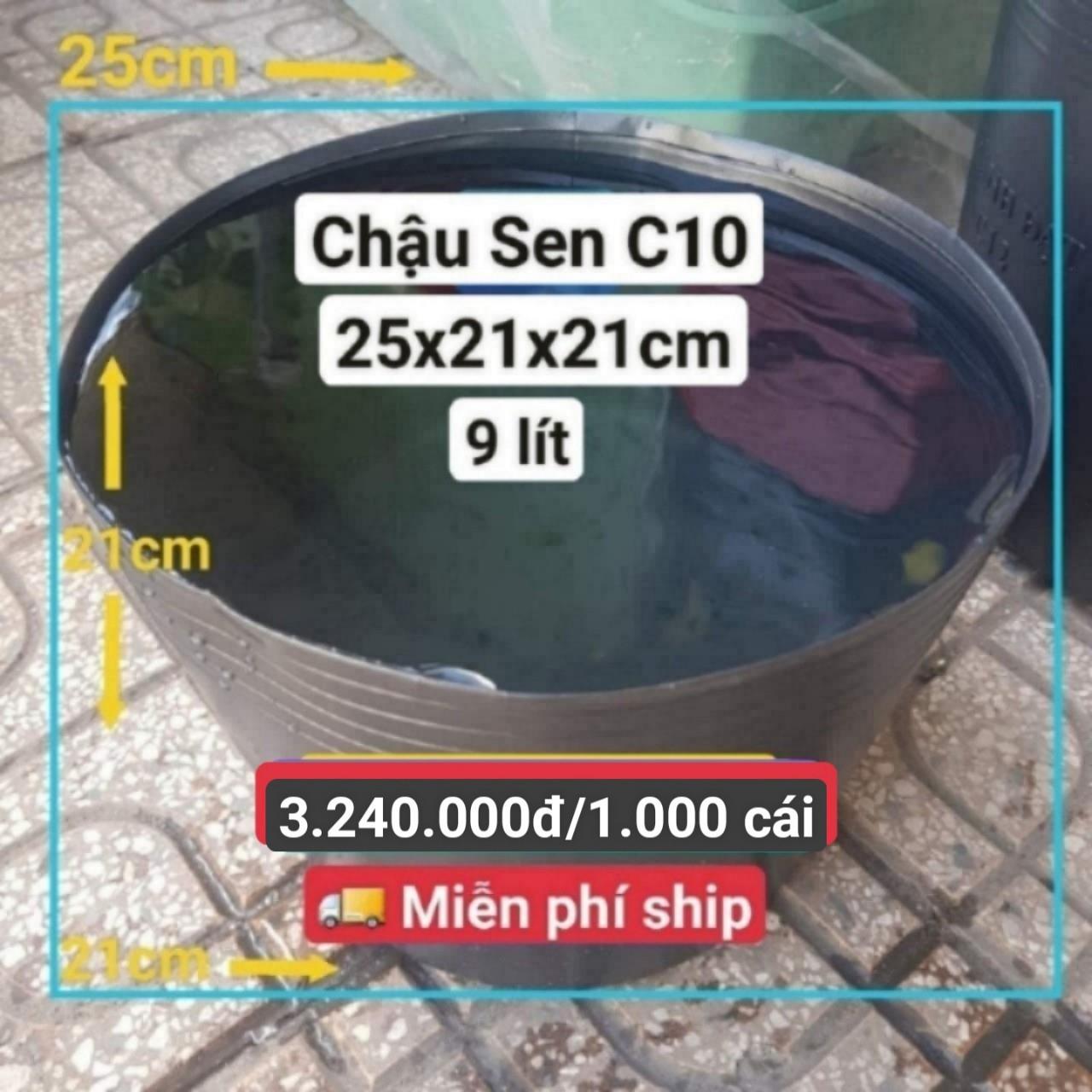 1000 Chậu Nhựa Trồng Sen C10