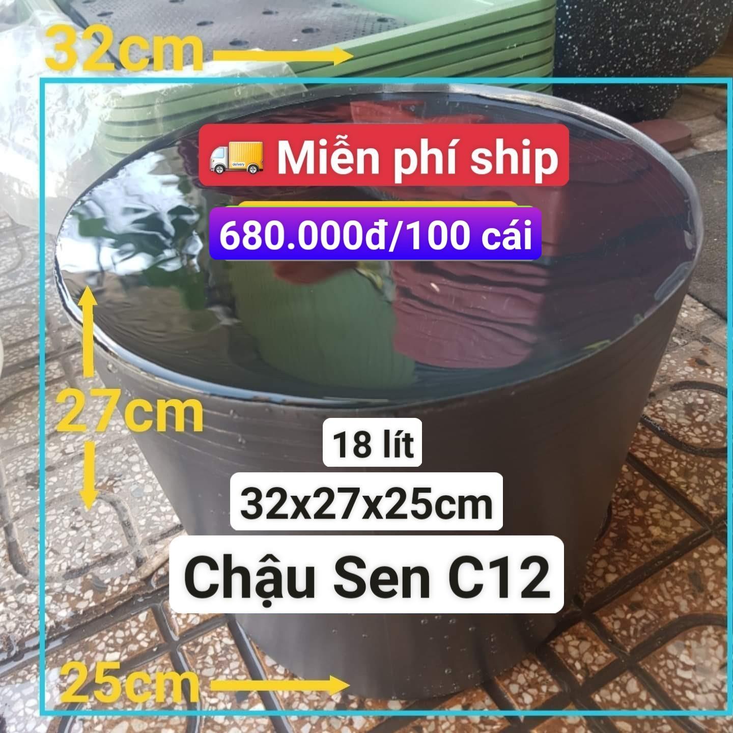 100 Chậu Nhựa Trồng Sen C12