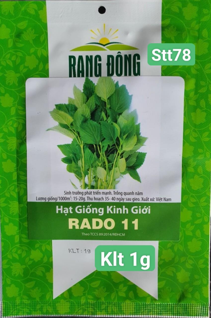 Kinh giới STT078