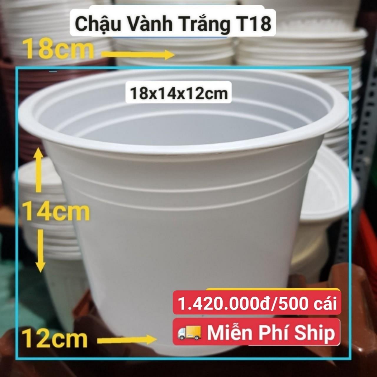 500 Chậu Vành Trắng T18