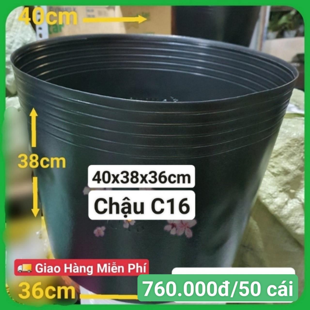 50 Chậu Mềm Đen C16