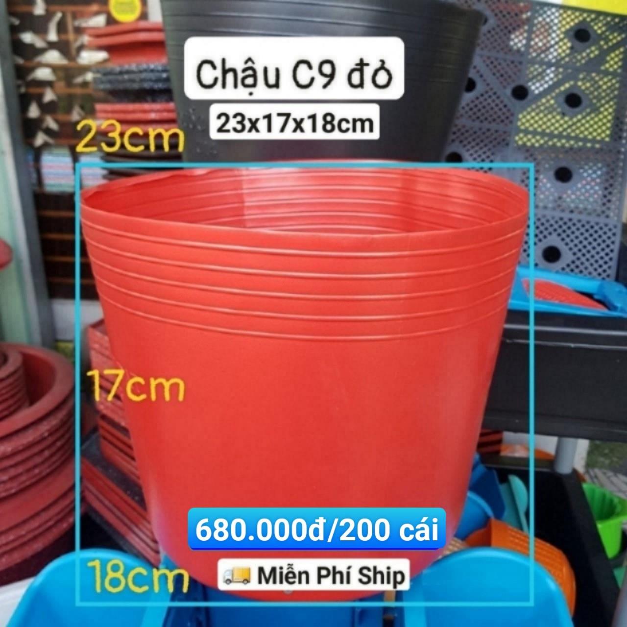 200 Chậu Mềm Đỏ C9