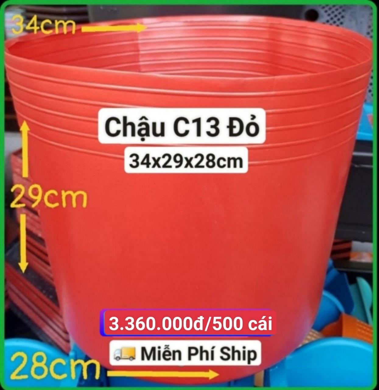 500 Chậu Mềm Đỏ C13