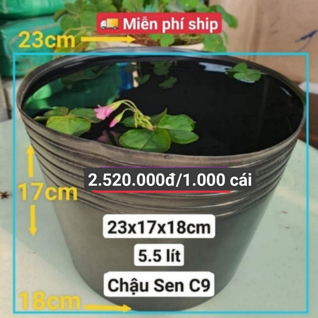 1000 Chậu Nhựa Trồng Sen C9