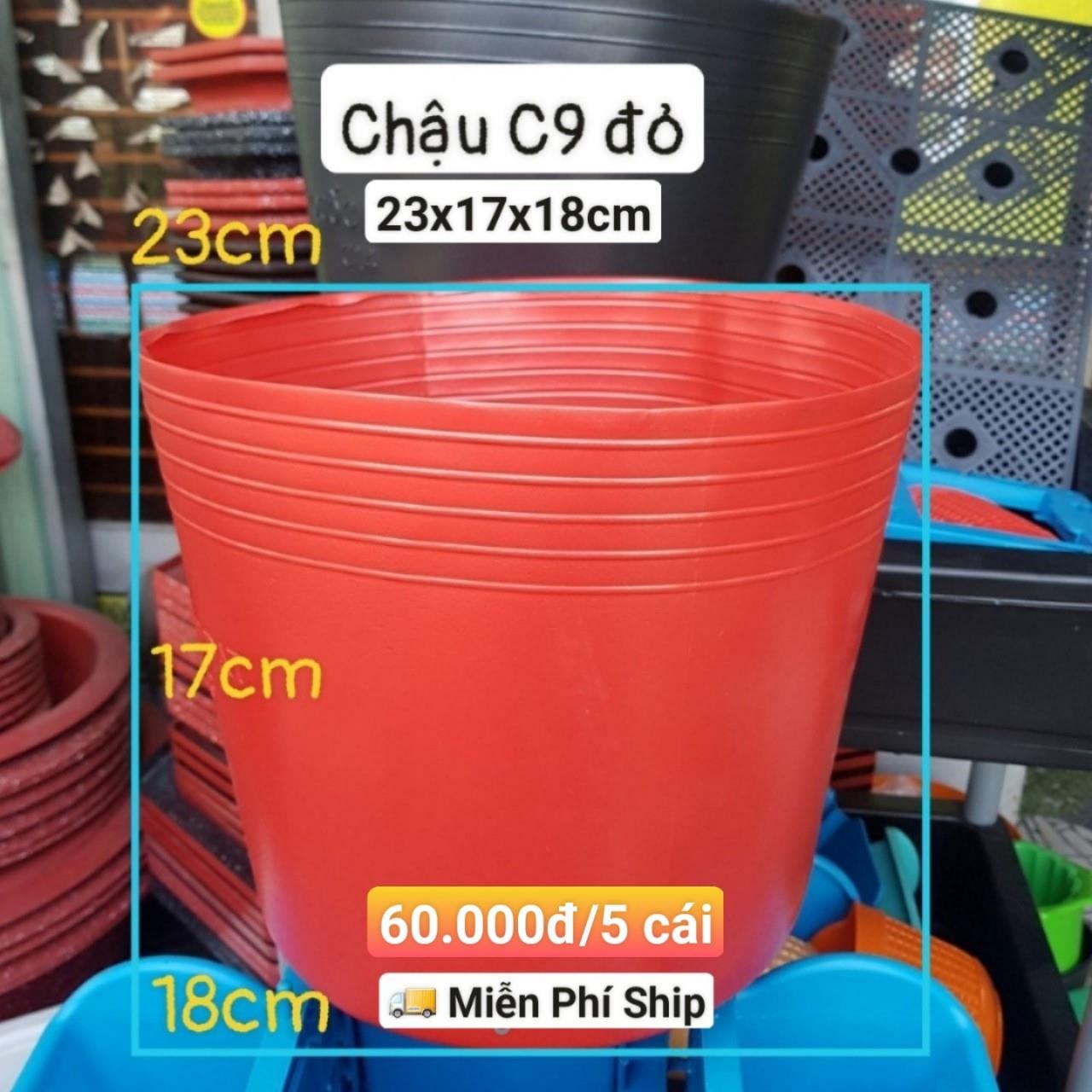 5 Chậu Mềm Đỏ C9