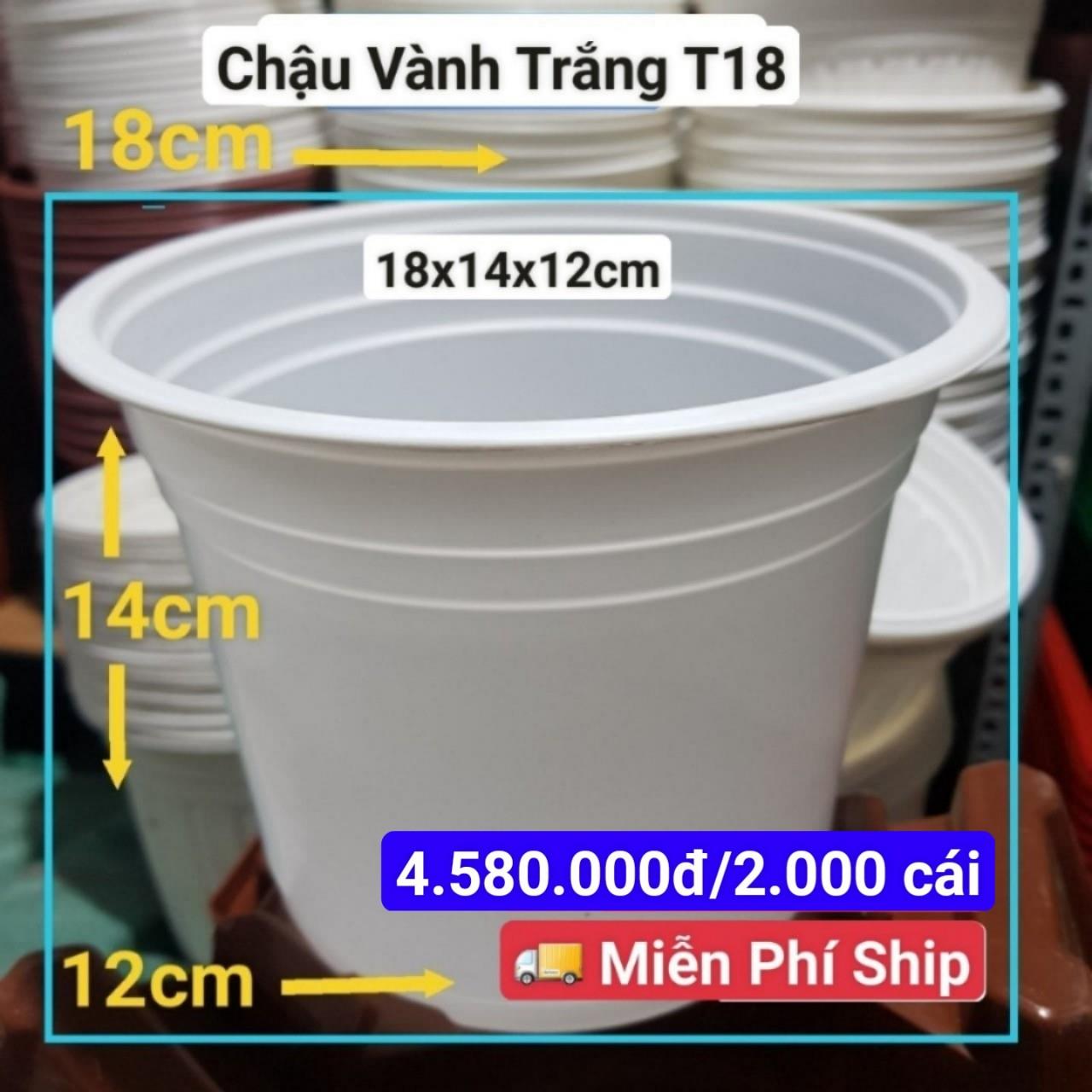 2000 Chậu Vành Trắng T18