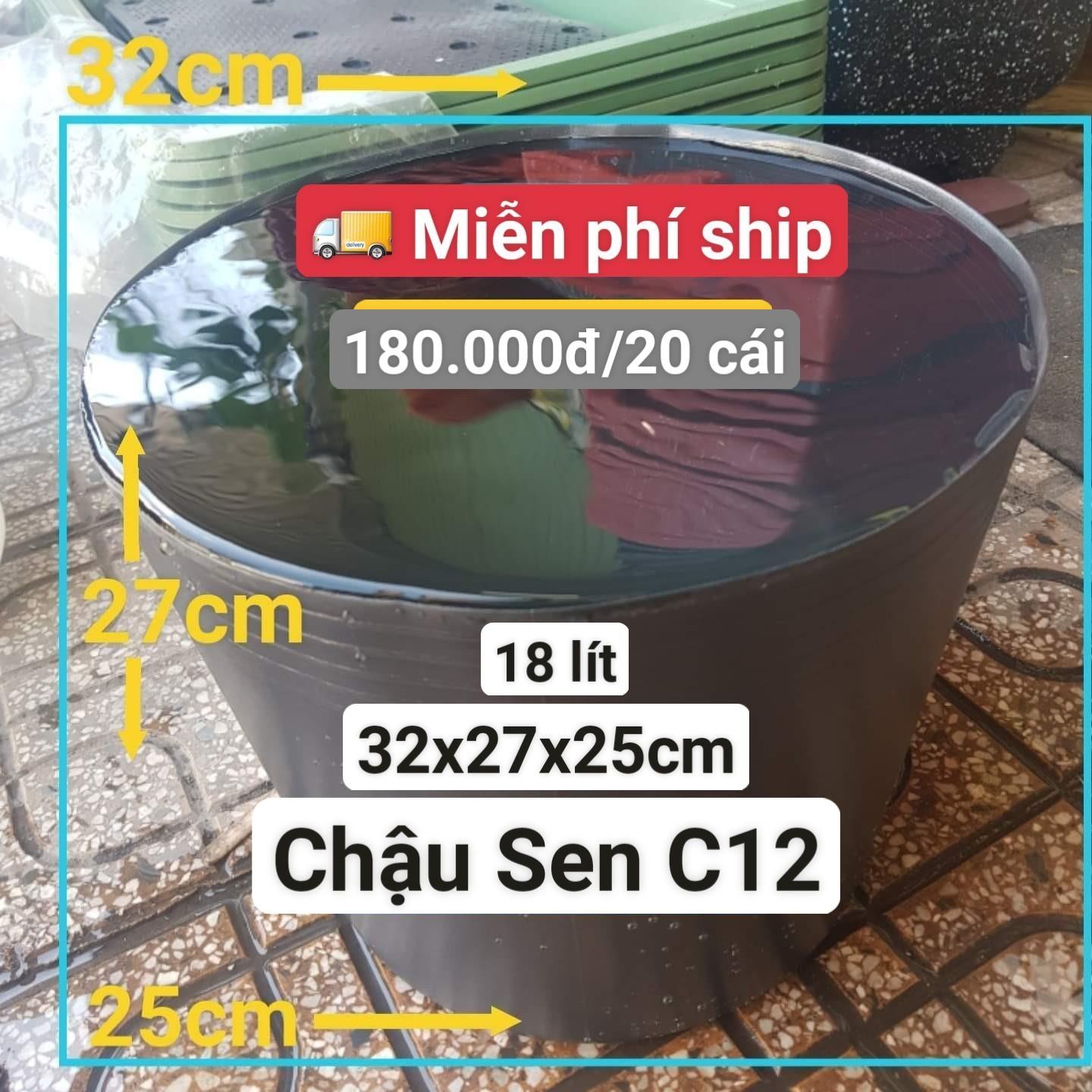 20 Chậu Nhựa Trồng Sen C12