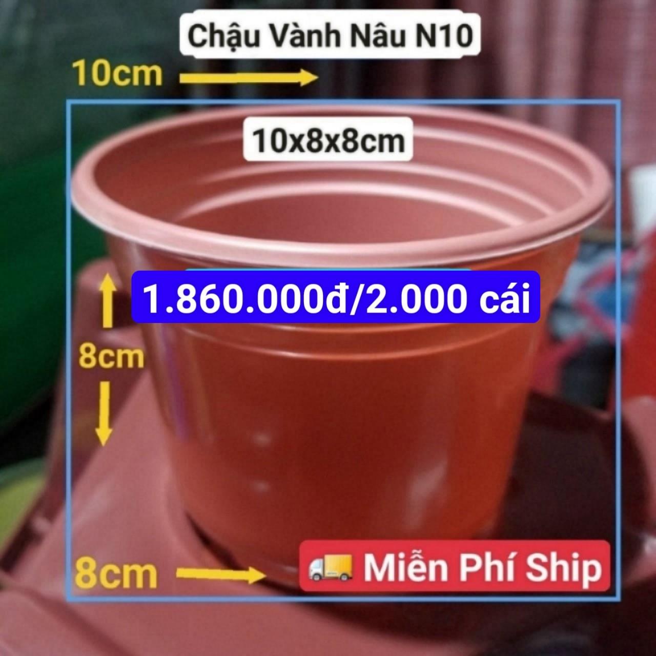2000 Chậu Vành Nâu N10