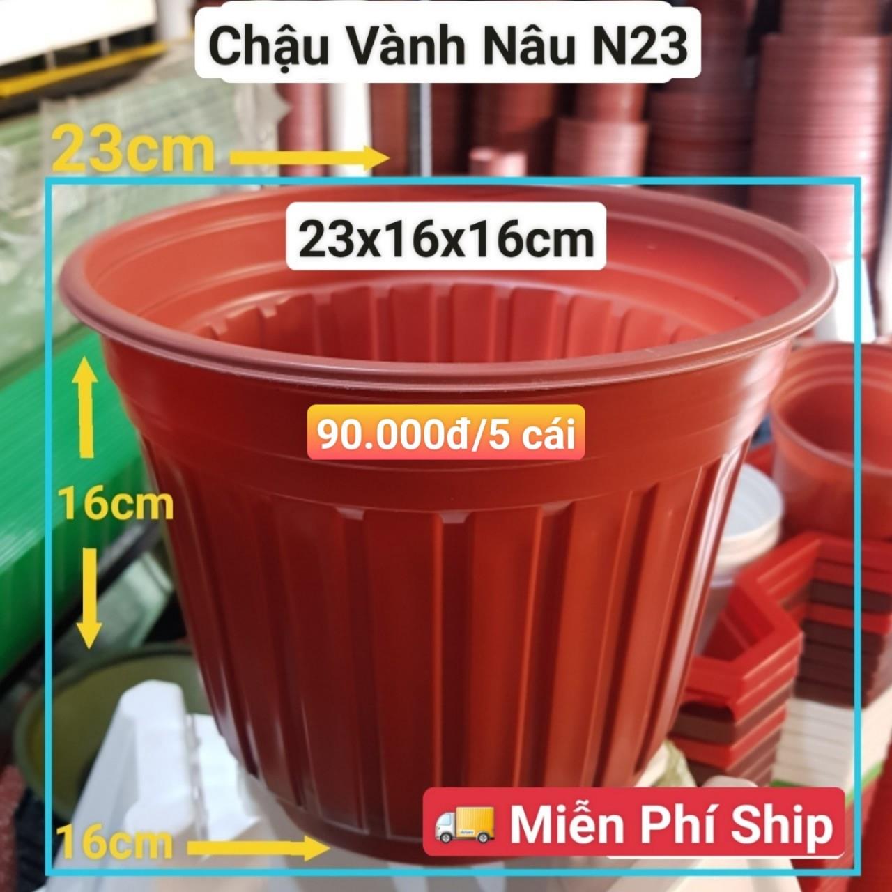 5 Chậu Vành Nâu N23
