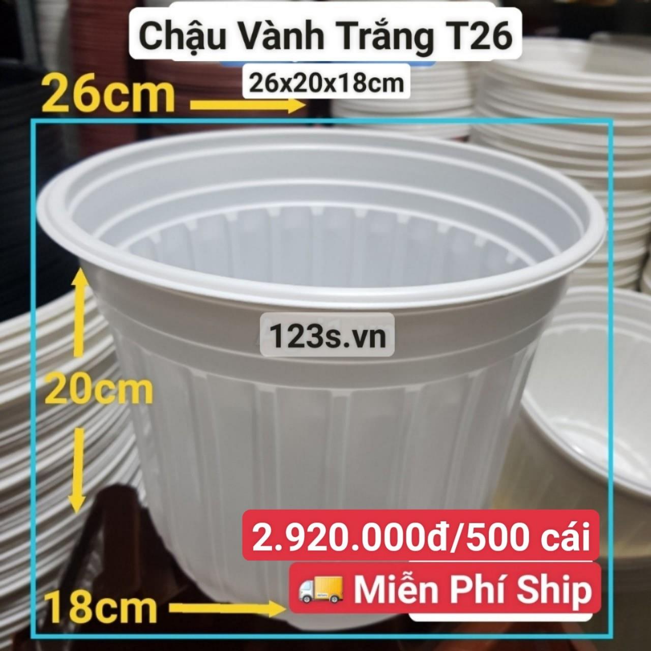 500 Chậu Vành Trắng T26