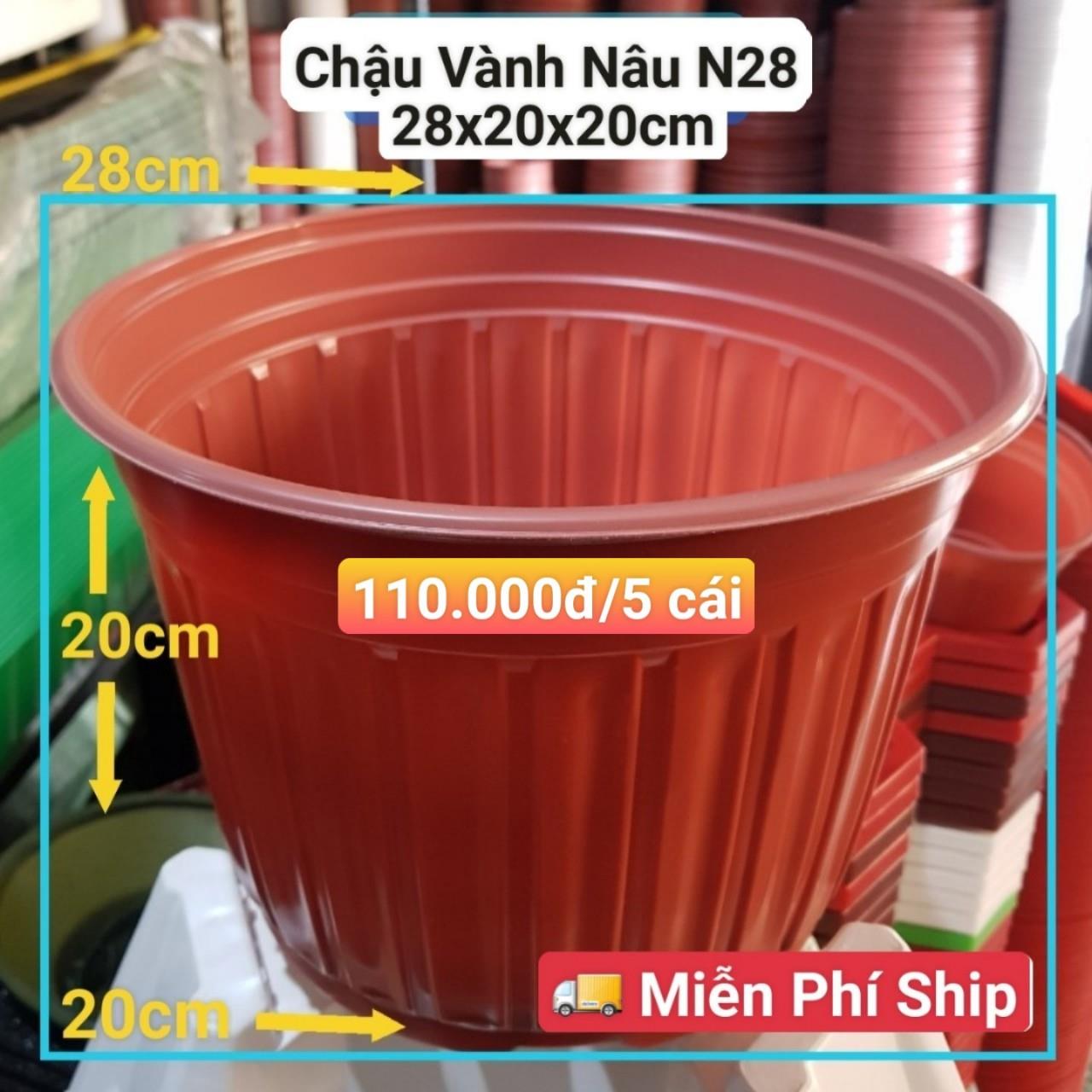 5 Chậu Vành Nâu N28