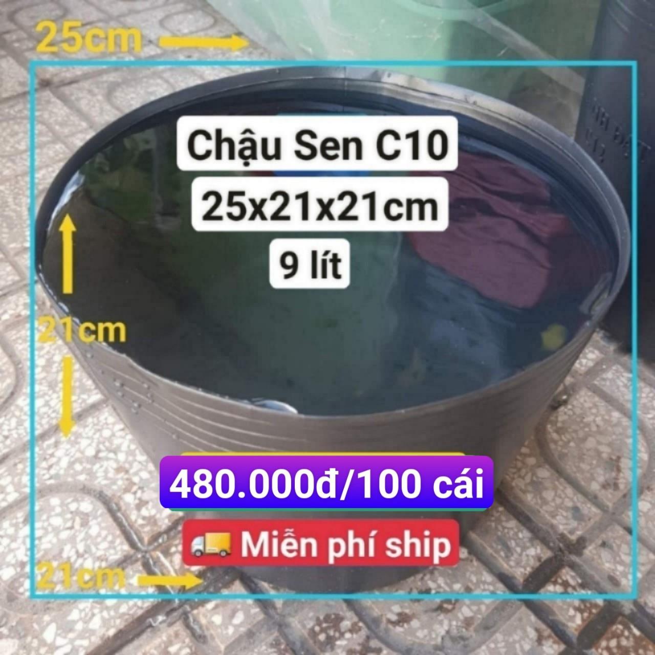 100 Chậu Nhựa Trồng Sen C10