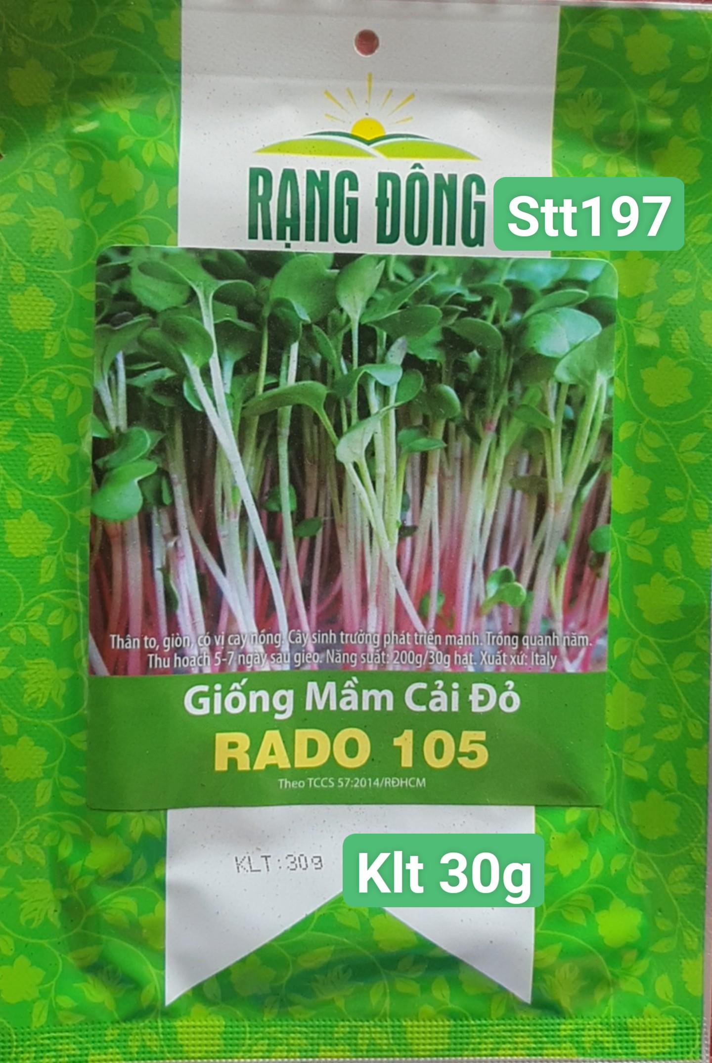 Mầm củ Cải Đỏ STT197