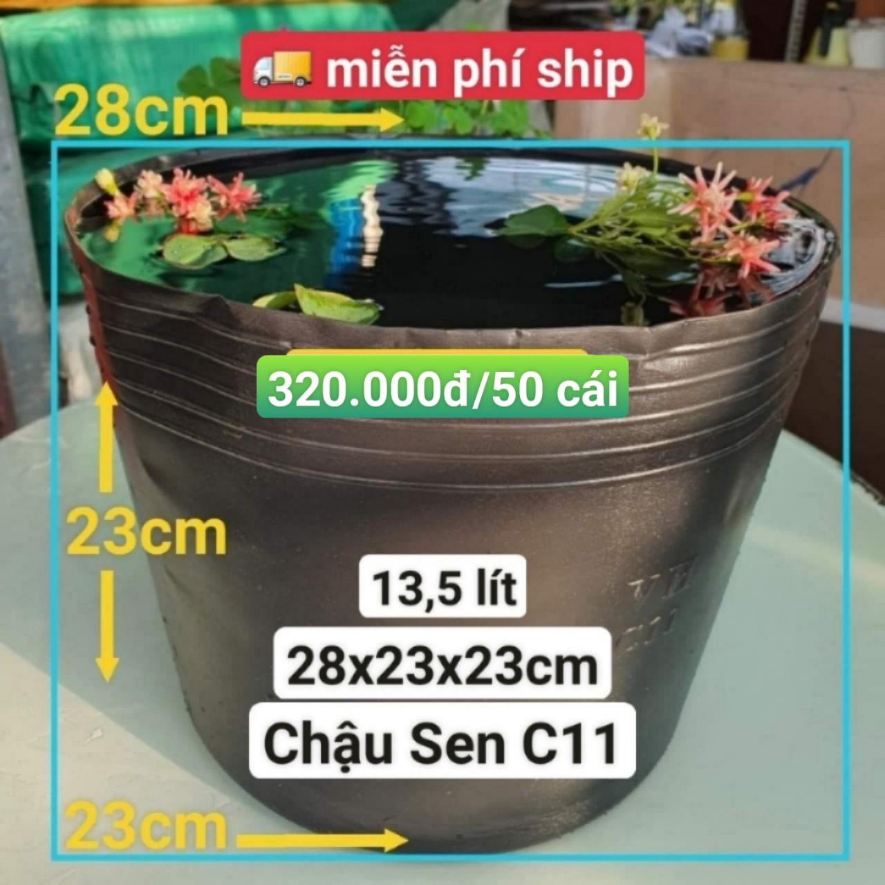 50 Chậu Nhựa Trồng Sen C11