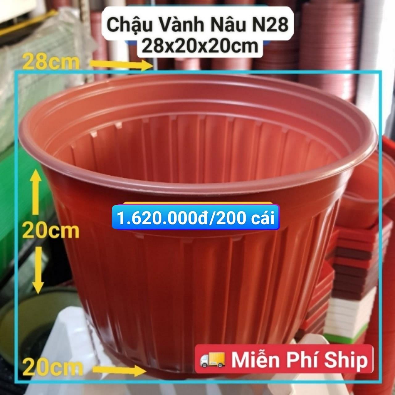 200 Chậu Vành Nâu N28