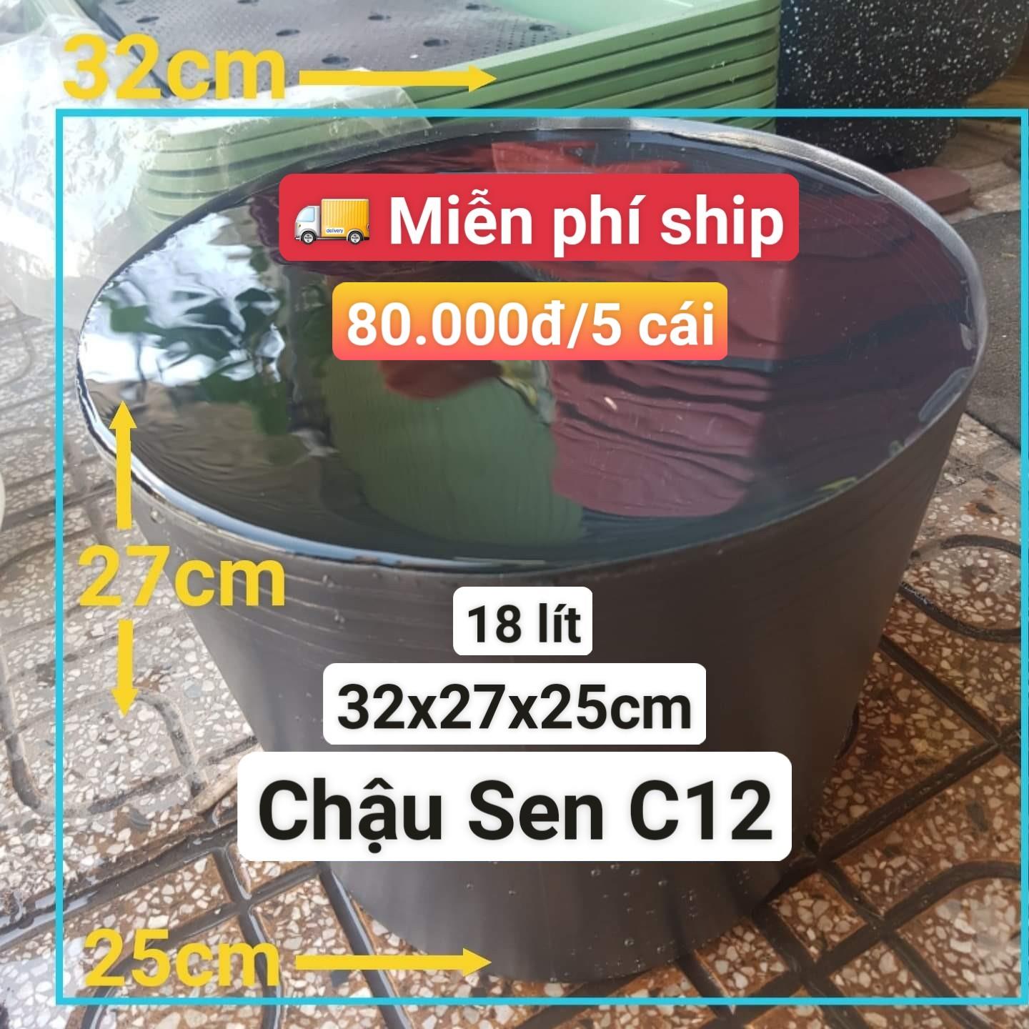 5 Chậu Nhựa Trồng Sen C12