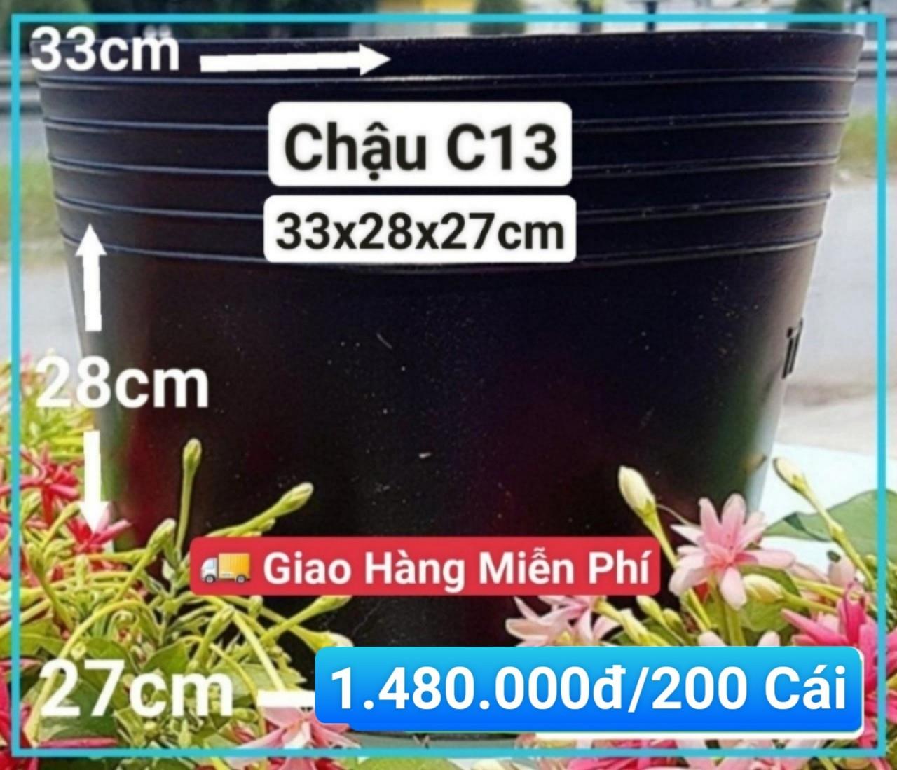 200 Chậu Mềm Đen C13