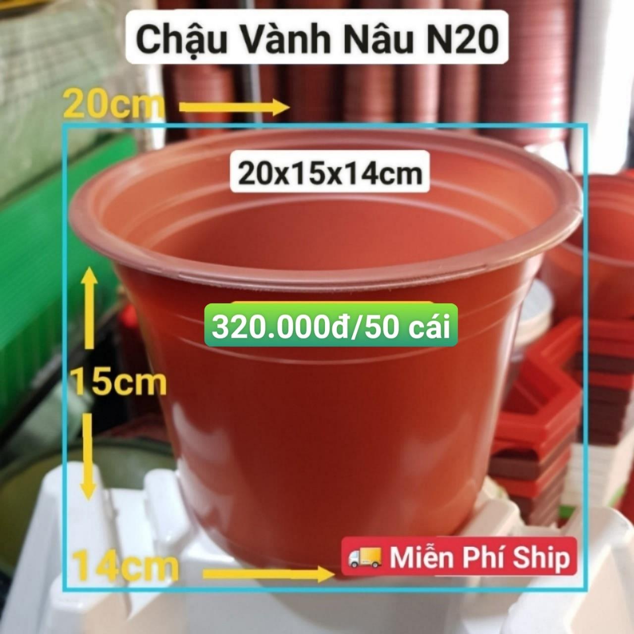 50 Chậu Vành Nâu N20