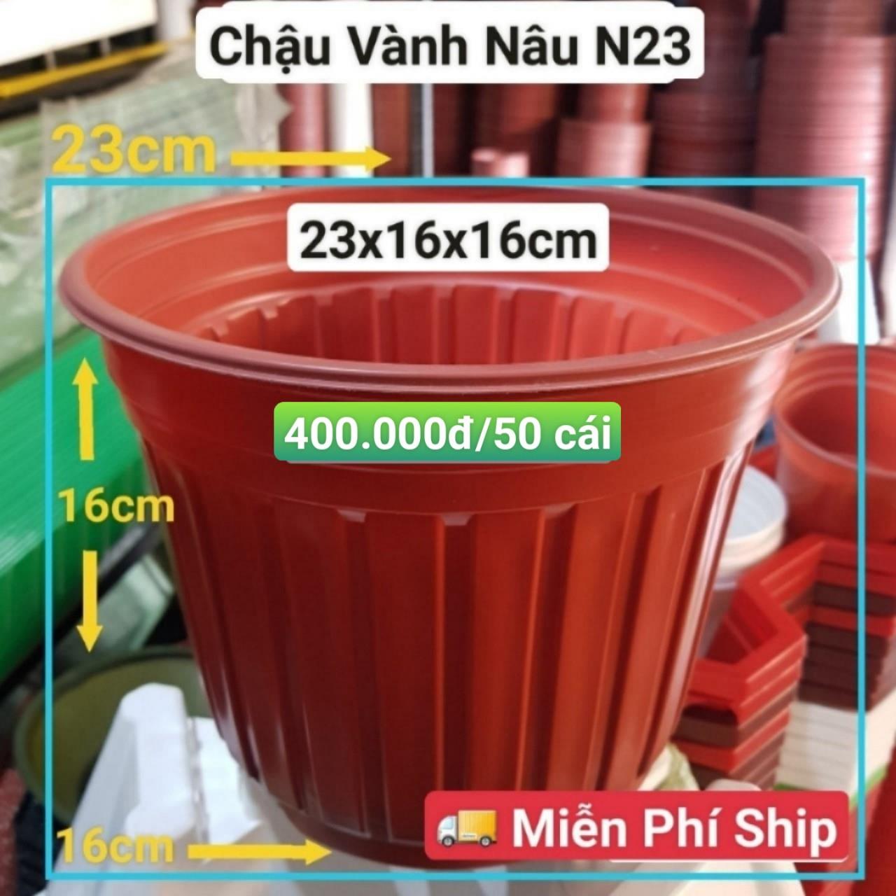 50 Chậu Vành Nâu N23