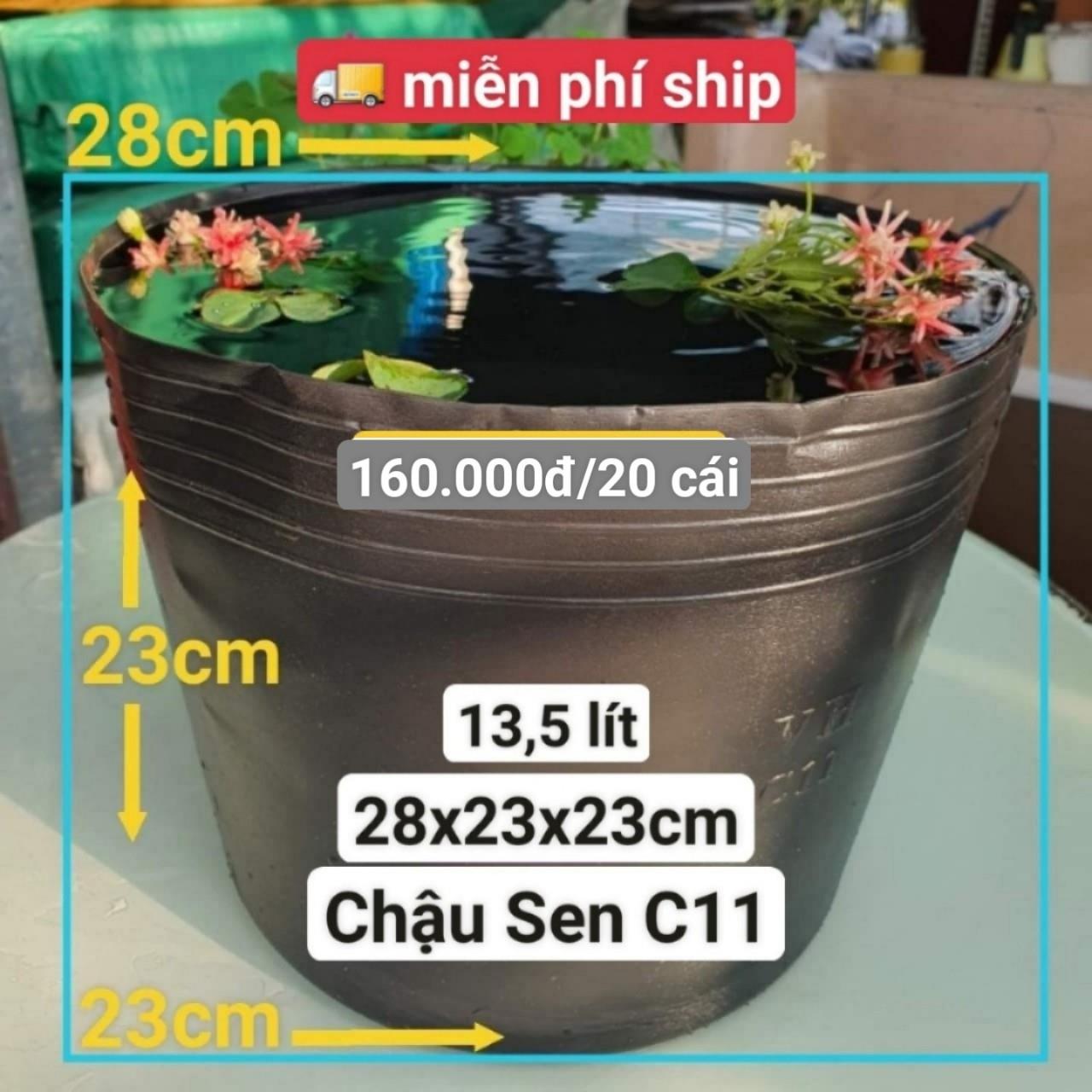 20 Chậu Nhựa Trồng Sen C11
