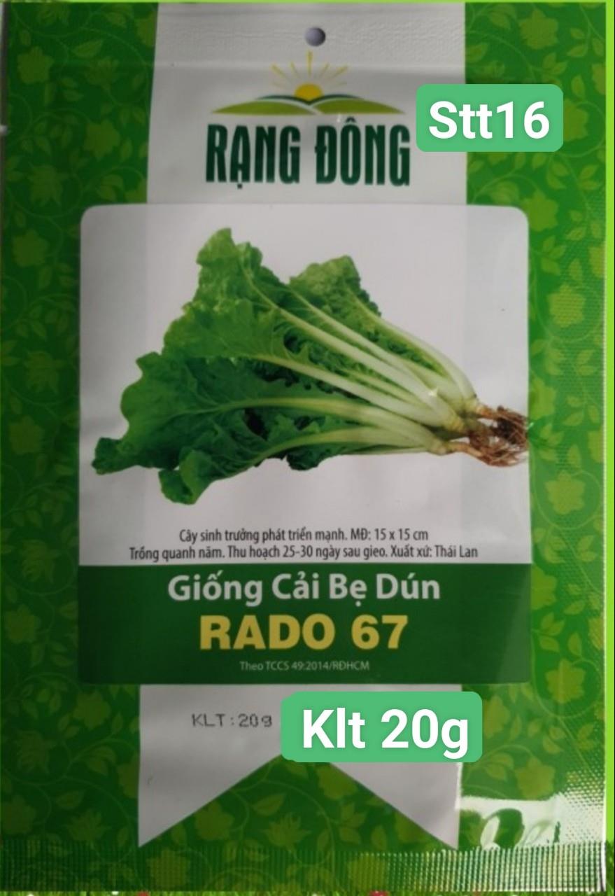 Cải Bẹ Dún STT016