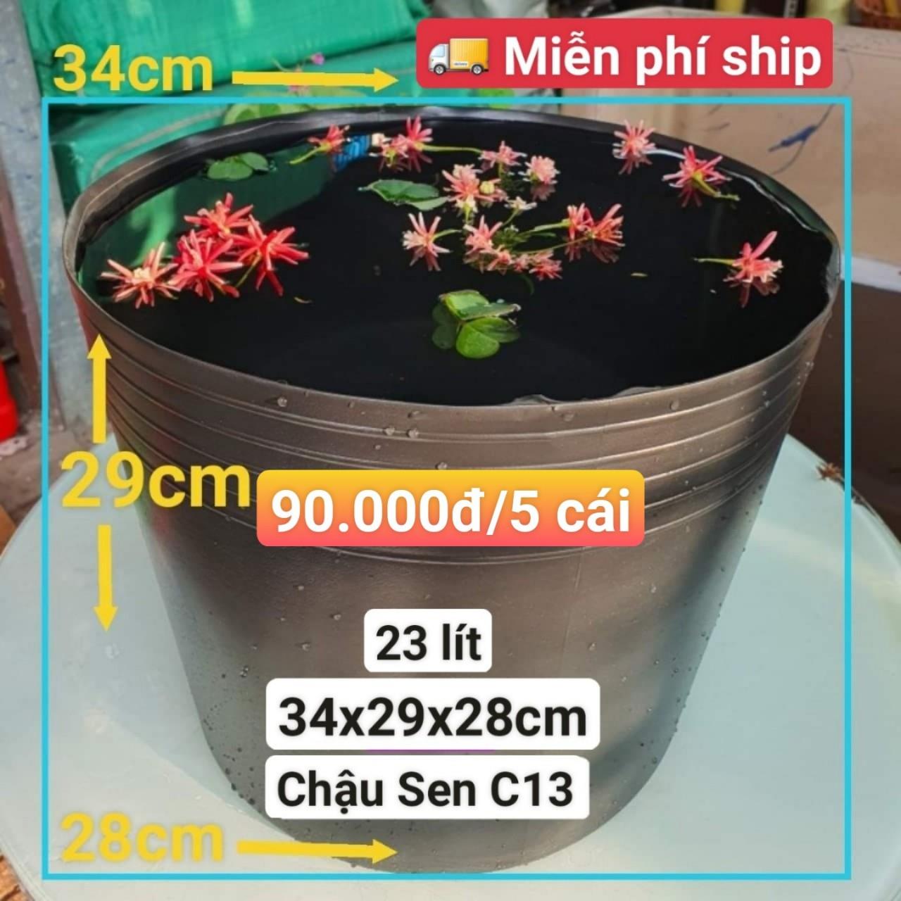 5 Chậu Nhựa Trồng Sen C13