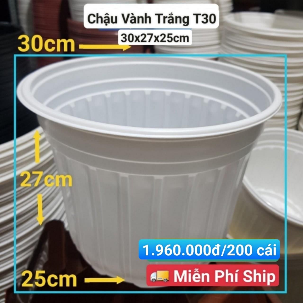 200 Chậu Vành Trắng T30
