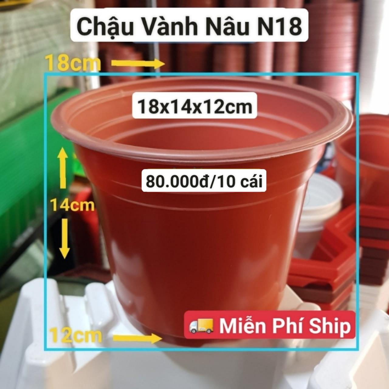 10 Chậu Vành Nâu N18